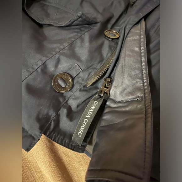 Canada goose - Picture 2 of 3